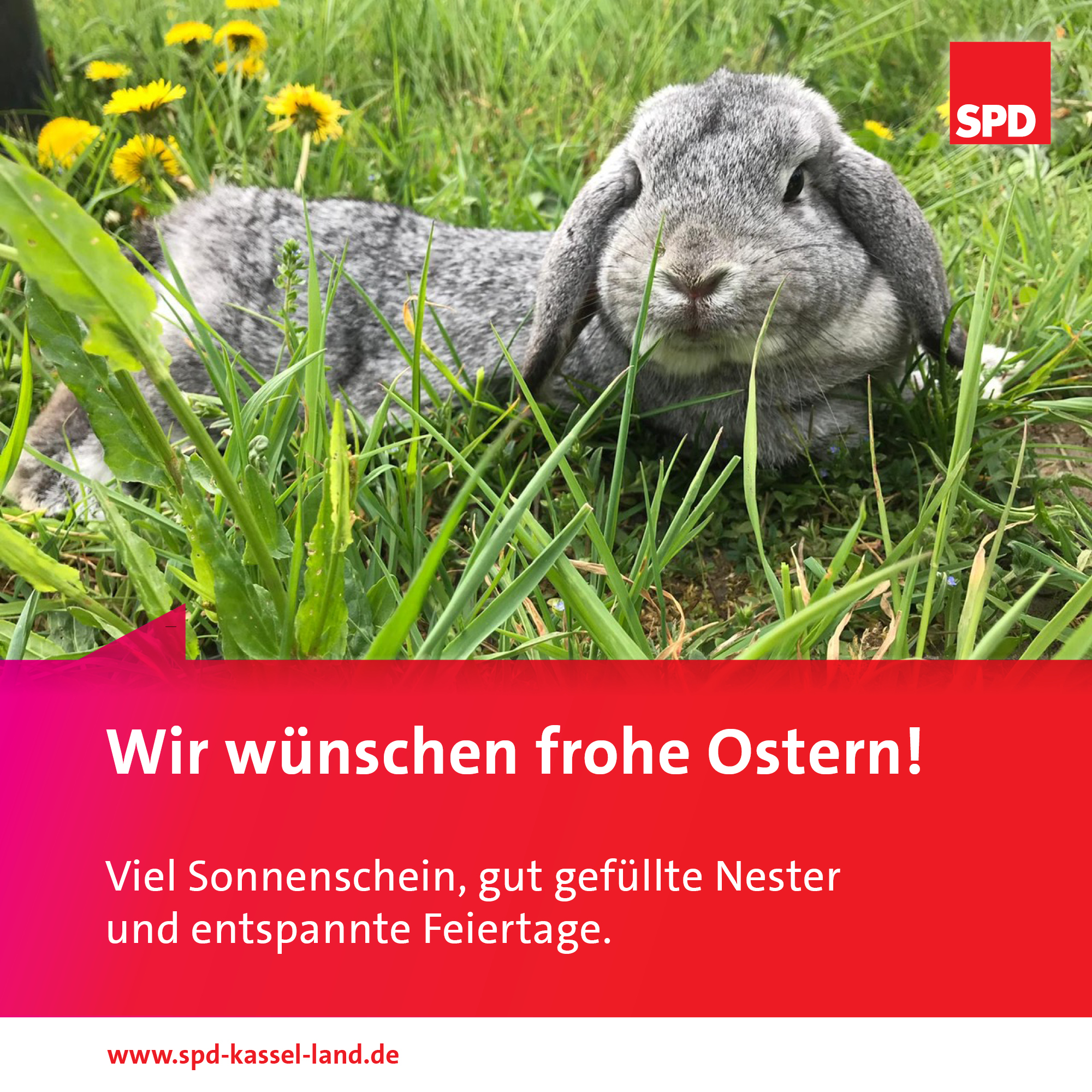 Schöne Ostern